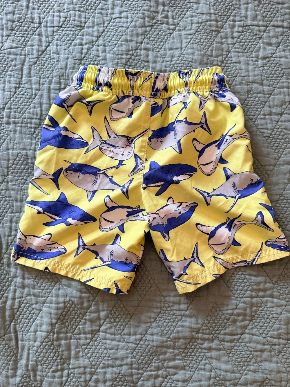 Carter's Blue and Yellow Shark Rashguard Swim Set - Size 5